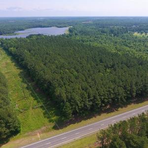 Photo of UNDER CONTRACT!  30 Acres of Timber and Hunting Land For Sale in Nash County NC!