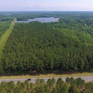 Photo of UNDER CONTRACT!  30 Acres of Timber and Hunting Land For Sale in Nash County NC!