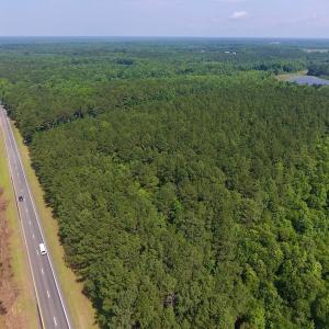 Photo of UNDER CONTRACT!  30 Acres of Timber and Hunting Land For Sale in Nash County NC!