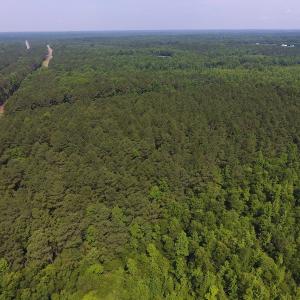 Photo of UNDER CONTRACT!  30 Acres of Timber and Hunting Land For Sale in Nash County NC!