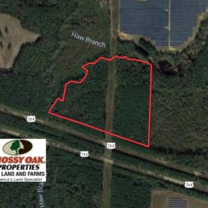 Photo of UNDER CONTRACT!  30 Acres of Timber and Hunting Land For Sale in Nash County NC!