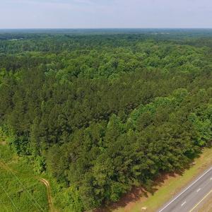 Photo of UNDER CONTRACT!  40 Acres of Timber and Hunting Land For Sale in Nash County NC!