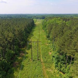 Photo of UNDER CONTRACT!  40 Acres of Timber and Hunting Land For Sale in Nash County NC!
