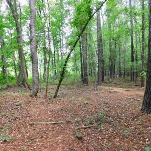 Photo of UNDER CONTRACT!  40 Acres of Timber and Hunting Land For Sale in Nash County NC!
