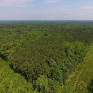 Photo of UNDER CONTRACT!  40 Acres of Timber and Hunting Land For Sale in Nash County NC!