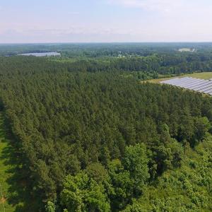 Photo of UNDER CONTRACT!  40 Acres of Timber and Hunting Land For Sale in Nash County NC!