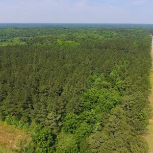 Photo of UNDER CONTRACT!  40 Acres of Timber and Hunting Land For Sale in Nash County NC!