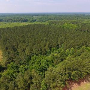Photo of UNDER CONTRACT!  40 Acres of Timber and Hunting Land For Sale in Nash County NC!