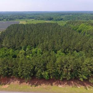 Photo of UNDER CONTRACT!  40 Acres of Timber and Hunting Land For Sale in Nash County NC!