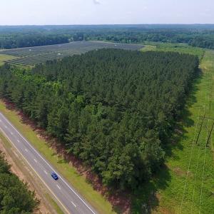 Photo of UNDER CONTRACT!  40 Acres of Timber and Hunting Land For Sale in Nash County NC!