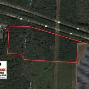 Photo of UNDER CONTRACT!  40 Acres of Timber and Hunting Land For Sale in Nash County NC!