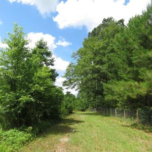 Photo of UNDER CONTRACT!  8 Acres of Residential and Hunting Land For Sale in Brunswick County NC!