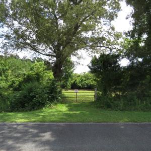 Photo of UNDER CONTRACT!  8 Acres of Residential and Hunting Land For Sale in Brunswick County NC!