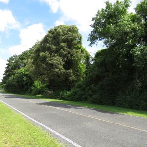 Photo of UNDER CONTRACT!  8 Acres of Residential and Hunting Land For Sale in Brunswick County NC!
