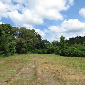 Photo of UNDER CONTRACT!  8 Acres of Residential and Hunting Land For Sale in Brunswick County NC!