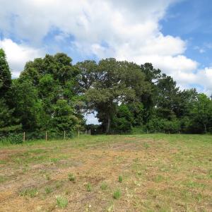 Photo of UNDER CONTRACT!  8 Acres of Residential and Hunting Land For Sale in Brunswick County NC!