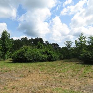 Photo of UNDER CONTRACT!  8 Acres of Residential and Hunting Land For Sale in Brunswick County NC!