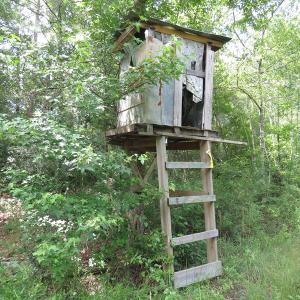 Photo of UNDER CONTRACT!  8 Acres of Residential and Hunting Land For Sale in Brunswick County NC!