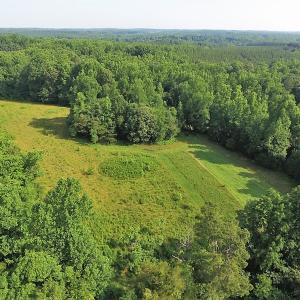 Photo of UNDER CONTRACT!  17 Acres of  Recreational Hunting of Land For Sale in Charlotte County VA!