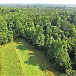 Photo of UNDER CONTRACT!  17 Acres of  Recreational Hunting of Land For Sale in Charlotte County VA!