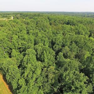 Photo of UNDER CONTRACT!  17 Acres of  Recreational Hunting of Land For Sale in Charlotte County VA!