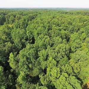 Photo of UNDER CONTRACT!  17 Acres of  Recreational Hunting of Land For Sale in Charlotte County VA!