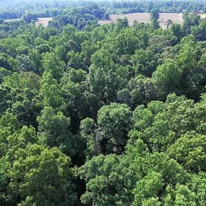 Photo of UNDER CONTRACT!  17 Acres of  Recreational Hunting of Land For Sale in Charlotte County VA!