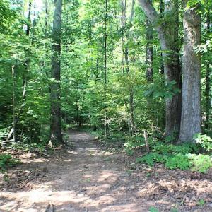 Photo of UNDER CONTRACT!  17 Acres of  Recreational Hunting of Land For Sale in Charlotte County VA!