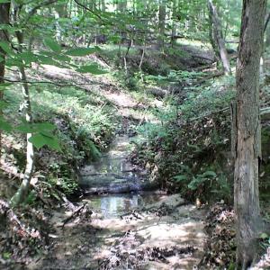 Photo of UNDER CONTRACT!  17 Acres of  Recreational Hunting of Land For Sale in Charlotte County VA!
