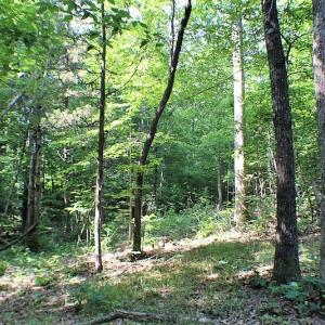 Photo of UNDER CONTRACT!  17 Acres of  Recreational Hunting of Land For Sale in Charlotte County VA!