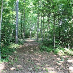 Photo of UNDER CONTRACT!  17 Acres of  Recreational Hunting of Land For Sale in Charlotte County VA!