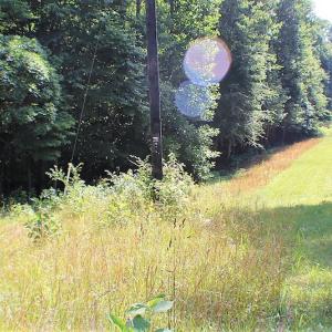 Photo of UNDER CONTRACT!  17 Acres of  Recreational Hunting of Land For Sale in Charlotte County VA!