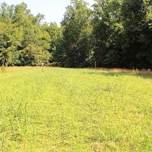 Photo of UNDER CONTRACT!  17 Acres of  Recreational Hunting of Land For Sale in Charlotte County VA!