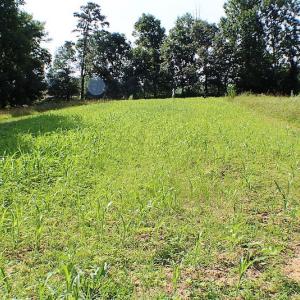 Photo of UNDER CONTRACT!  17 Acres of  Recreational Hunting of Land For Sale in Charlotte County VA!