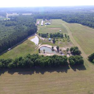 Photo of UNDER CONTRACT!  55 Acres of Farm Land with Log Home For Sale in Suffolk County VA!