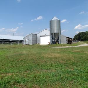 Photo of UNDER CONTRACT!  55 Acres of Farm Land with Log Home For Sale in Suffolk County VA!