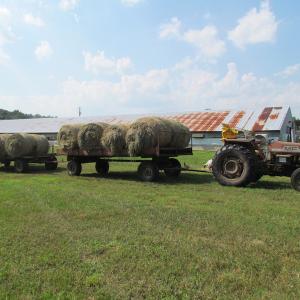 Photo of UNDER CONTRACT!  55 Acres of Farm Land with Log Home For Sale in Suffolk County VA!
