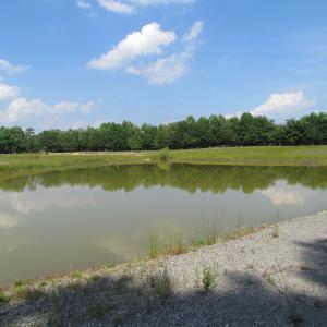 Photo of UNDER CONTRACT!  55 Acres of Farm Land with Log Home For Sale in Suffolk County VA!