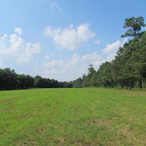 Photo of UNDER CONTRACT!  55 Acres of Farm Land with Log Home For Sale in Suffolk County VA!