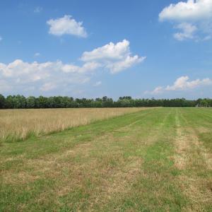 Photo of UNDER CONTRACT!  55 Acres of Farm Land with Log Home For Sale in Suffolk County VA!