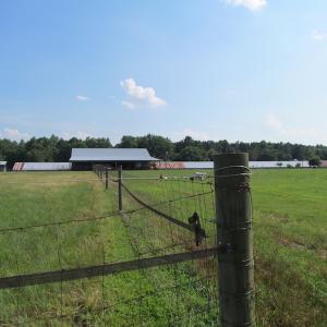 Photo of UNDER CONTRACT!  55 Acres of Farm Land with Log Home For Sale in Suffolk County VA!