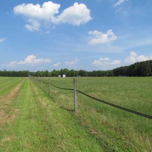 Photo of UNDER CONTRACT!  55 Acres of Farm Land with Log Home For Sale in Suffolk County VA!