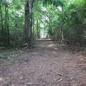 Photo of SOLD!  62.5 Acres of Hunting and Timber Land for Sale in Nash County NC!