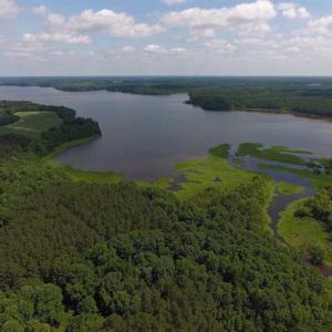 Photo of SOLD!  62.5 Acres of Hunting and Timber Land for Sale in Nash County NC!