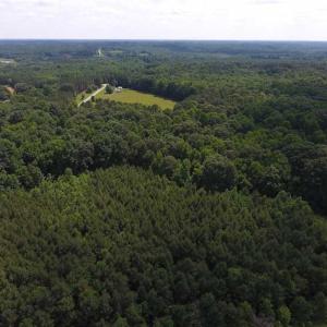 Photo of SOLD!  62.5 Acres of Hunting and Timber Land for Sale in Nash County NC!
