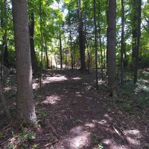 Photo of SOLD!  62.5 Acres of Hunting and Timber Land for Sale in Nash County NC!