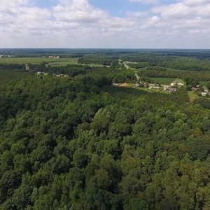 Photo of SOLD!  62.5 Acres of Hunting and Timber Land for Sale in Nash County NC!