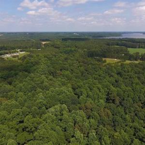 Photo of SOLD!  62.5 Acres of Hunting and Timber Land for Sale in Nash County NC!