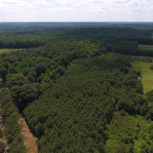 Photo of SOLD!  62.5 Acres of Hunting and Timber Land for Sale in Nash County NC!