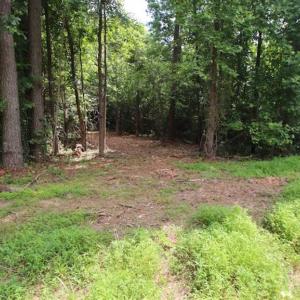 Photo of SOLD!  62.5 Acres of Hunting and Timber Land for Sale in Nash County NC!